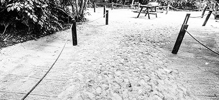 image of raked sand with footprints